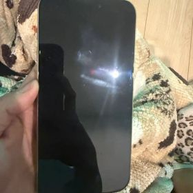 Apple iPhone 15 Pro max 本体