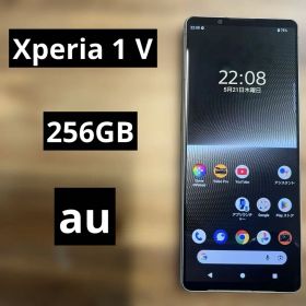 Xperia 1 V au 新品 98,000円 中古 29,980円 | ネット最安値の価格比較