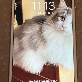 iphone6s plus 64gb simフリー バッテリー100%