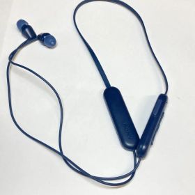 SONY WI-C100 ワイヤレスイヤホン S250