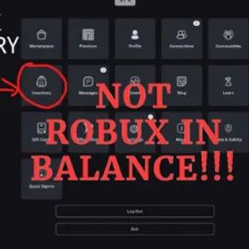 ロブロックス ROBLOX💰2000 Robux Inventory Value