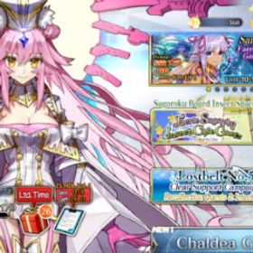 フェイトグランドオーダー account for new player, have many supports.