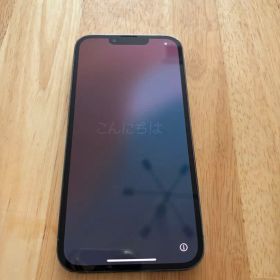 Apple iPhone 13 Pro 本体