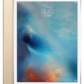 iPad Pro 12.9 シルバー 第2世代 SIMフリー 中古 23,000円 | ネット最