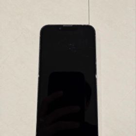 Apple iPhone 13 Pro シエラブルー 本体