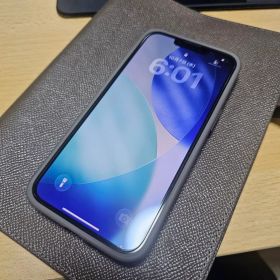 Apple iPhone 13 Pro 本体 256GB