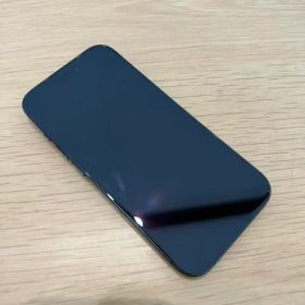 Apple iPhone 15 Pro 本体