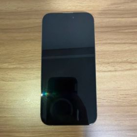 Apple iPhone 15 Pro 本体 SIMフリー