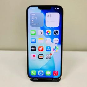 iPhone 13 Pro Max 1TB 新品 87,000円 中古 43,980円 | ネット最安値の