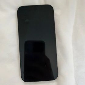 Apple iPhone 14 Pro 本体