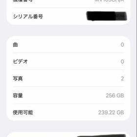 超美品 海外版iPhone15 ProMax 256GB 物理SIM2枚オマケ有