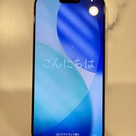 Apple iPhone 16 Pro 本体