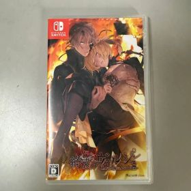 終遠のヴィルシュ ErroR：salvation Switch 新品 5,000円 中古