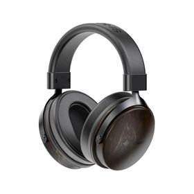 フィーオ ダイナミック密閉型ヘッドホン(ブラック) FiiO Snowsky NATURE Black FIO-SS-NATURE-B 返品種別A
