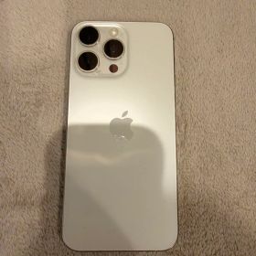 Apple iPhone 15Pro Max本体