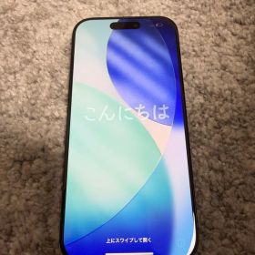 Apple iPhone 16 Pro 256GB 本体