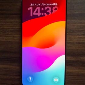【美品】iPhone 15 Pro Max ホワイトチタニウム 256GB