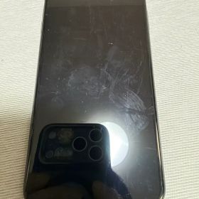 Apple iPhone Xs Max 本体