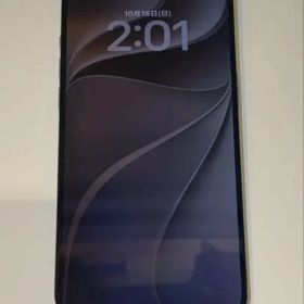 T*ũ様 iPhone 15 Pro Max 256G