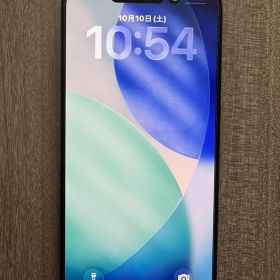 極美品 iPhone 15 Pro Max 256GB ブラックチタニウム