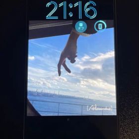 iPhone15 pro Max ナチュラルチタニウム 256GB