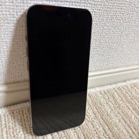 Apple iPhone 14 Pro 本体 パープル
