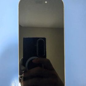 Apple iPhone14Pro 256GB シルバー
