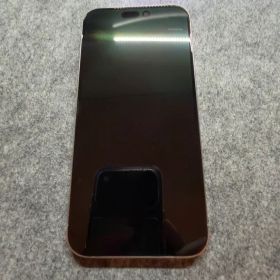 iPhone 15 Pro 本体