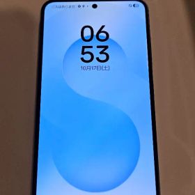 Samsung Galaxy S25 スマートフォン本体