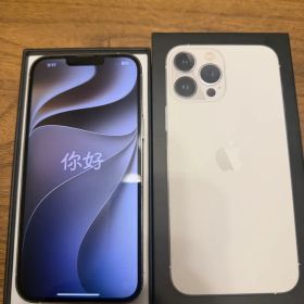 Apple iPhone13 Pro 128GB シルバー 箱あり 本体