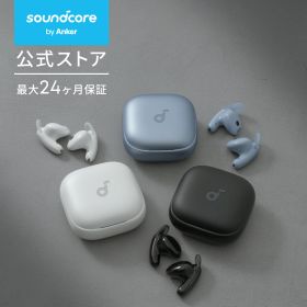 Anker Soundcore Liberty Buds（Bluetooth 6.1）【完全ワイヤレスイヤホン/アクティブキャンセリング / 3Dオーディオ / マルチポイント接