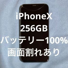 iPhone X 256 GB