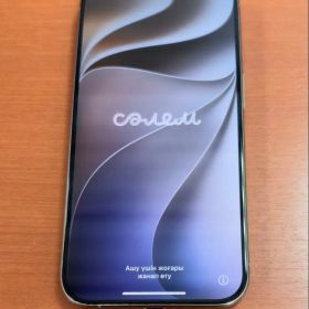 Apple iPhone 15 Pro 本体
