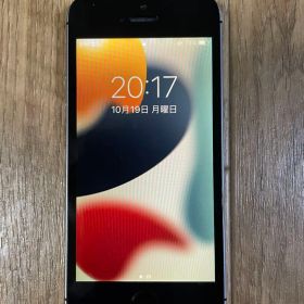 Apple iPhone SE 16GB バッテリー最大容量100%