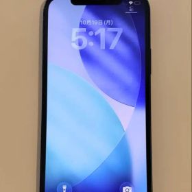 【完動品】Apple iPhone 12 ブルー 本体 128gb