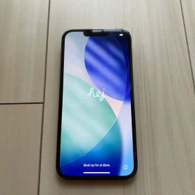 Apple iPhone 13pro 本体