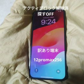Apple iPhone 12 Pro Max 256GB 本体