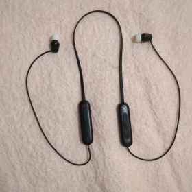 ソニー ワイヤレスイヤホン WI-C100 高音質 Bluetooth ブラック