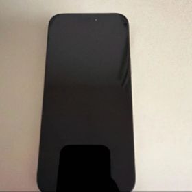 Apple iPhone 16 pro max本体