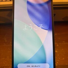 Apple iPhone 12 Pro 本体 256GB 香港版