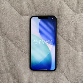Apple iPhone 13 Pro アルパイングリーン 本体