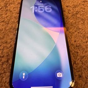 Apple iPhone 13pro 256GB 本体