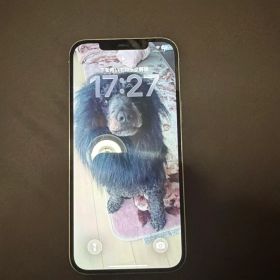 G*l様 iPhone 12 ProMax 本体