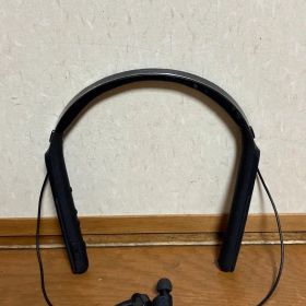 SONY ワイヤレスイヤホン WI-1000X 本体