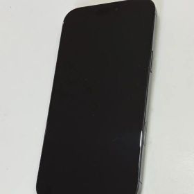 Apple iPhone 16 Pro Max 本体