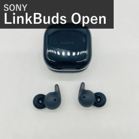 ソニー SONY LinkBuds Open リンクバッズ オープン WF-L910 ブラック オープンイヤー Bluetooth ワイヤレスイヤホン 防滴 ロングバッテリー 最大8時間連続再生 マイク付 迫力の音質 軽量 コンパクト 耳をふさがない