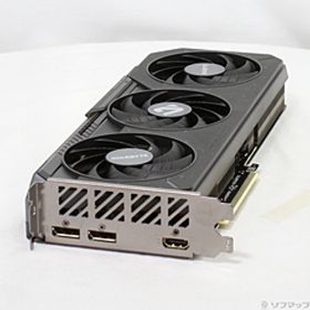 Radeon RX 9060 XT GAMING OC 16G