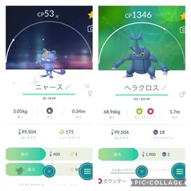 ポケgo ポケモンgo ニャース アカウント販売 Rmt 件を横断比較 アカウント売買 一括比較 プライスランク