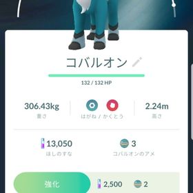 ポケgo ポケモンgo コバルオン アカウント販売 Rmt 17件を横断比較 アカウント売買 一括比較 プライスランク