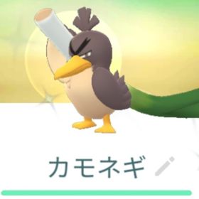 ポケgo ポケモンgo カモネギ アカウント販売 Rmt 6件を横断比較 アカウント売買 一括比較 プライスランク